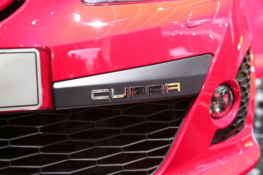  Seat Ibiza Cupra 2009 года  (фото 22 из 84)